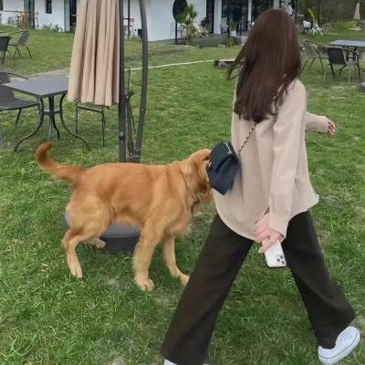 扭计祖宗