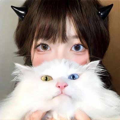 萌犬好声音4